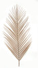 28" Areca Palm Branch 
Tan