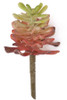 AR-161410
3" Echeveria Pick
Fire Retardant