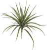 A-104000
26" Plastic Yucca Head 
Green with Red Edge