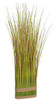 Green/Beige Onion Grass