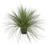 A-160190 - 36" H X 48" Wide
PVC Onion Grass