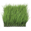 A-5030 - Tutone Green
10" Mexican Grass
