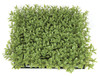 AR-150280 - Fire Retardant
 10" Plastic Boxwood Mat -