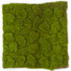 A-111750 14" Lumpy Moss Mat - Green Brown