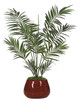 P-2420 6.5' Kentia Palm Tree - Decorative Pot Sold Separately