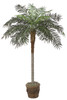 P-2512 7' Phoenix Palm Tree - Decorative Planter Sold Separately