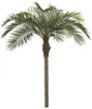 P-61560  11' Coconut Palm Tree