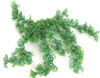9 Inch Plastic Spikemoss Pot Cover
Green