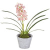 P-110880
21" Potted Cymbidium
Tutone Pink