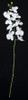 P-160390
31" Phalaenopsis Orchid
 White