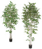 7' or 9' Birch Trees