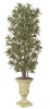 W-2755
7' Dracaena Reflexa Tree
Decorative Pot Sold Separately