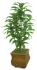 P-82390
72" Dracaena Cluster
Decorative Pot Sold Separately