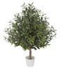 W-2925
3' Olive Tree Topiary
With or Without Olives