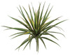 A-112183
24" Plastic Yucca Head
Green with Red Edge