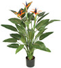 W-130010
55" Bird of Paradise Plant