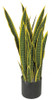 AR-162180 - Fire Retardant
28" Sansevieria Plant
Green/Yellow