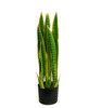 AR-162170 - 26" FireSafe Green/Yellow Sansevieria Plant