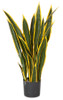 AR-162170 - Fire Retardant 
26" Sansevieria Plant 
Green/Yellow
