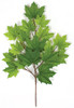 P-005G
33" Sugar Maple Branch
Light Green