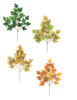 Rock Maple Branches - 
Green, Light Green/Brown, Yellow/Brown, Orange/Red