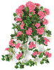 PR-120980 - Beauty Color
28" Geranium Bush