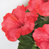 Red/Pink Hibisicus Flowers