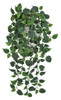 PR-192040
43" Philodendron Bush