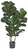 PR-120550 - Fire Retardant
52" Fiddle Leaf Fig Tree