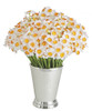 12 Inch Narcissus or Daffodil Stem - White or Yellow (Sold by the Dozen)