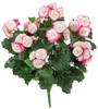 P-81985
18" Begonia Bush
Pink/Cream