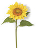 P-100010
37" Sunflower Stem
Gold/Yellow