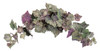 P-9902
30" Frosted Grape Swag
Green/Mauve