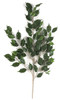 P-2222 - Regular 
41" Ficus Branch