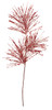 C-150283
Red