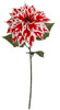 27" Poinsettia Stem 
Red/White