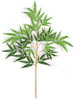 PR-969
33" Bamboo Branch