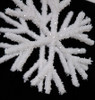 J-172773
Close Up of Snowflake