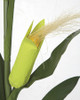 Close Up of Artificial Corn