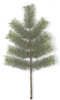 C-172170
24" PVC Frosted Pine Branch with Glitter