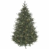 Elizabeth Pine Trees
with LED Lights