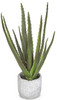 PF-110200
30" Potted Aloe Plant
in Stone Pot