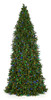 C-17142C7
14' Slim Swiss Pine Pine Tree
with Multi-Colored C7 Lights