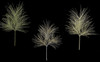 Glittered Long Leaf Pine Spray
Light Green, Gold/Silver or Platinum Champagne