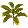 A-184010
20" Outdoor Croton Plant
Green/Yellow Mix