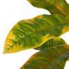 Polyblend Outdoor UV Croton Leaf