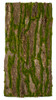 39" x 19.5" Bark Moss Sheet