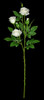 P-180910 - White
23" White Rose Spray
