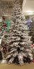 Snowy Flocked Polaris Tree