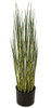 A-185500
31" Potted Equisetum Plant